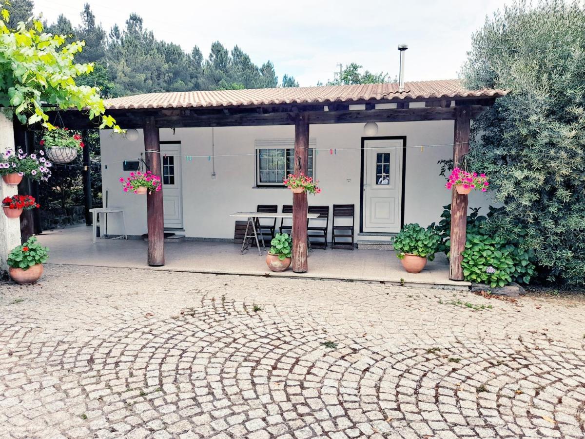 Casa Das Aveleiras - Satao Vila de Igreja Dış mekan fotoğraf